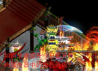 如何快速提升今日新开传奇服务器中的角色等级? 如何快速提升今日新开传奇服务器中的角色等级?