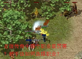老版传奇中哪个职业最厉害?新手该如何选择职业? 老版传奇中哪个职业最厉害?新手该如何选择职业?